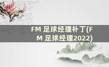 FM 足球经理补丁(FM 足球经理2022)